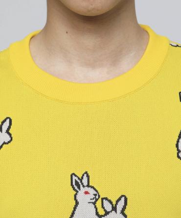 Rabbits Pattern Knit Top [ FRK004 ] *イエロー*