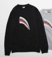 BxH SHARK KIDS CREW NECK SW *ブラック*