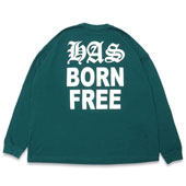 HAS L/S Tee *グリーン*