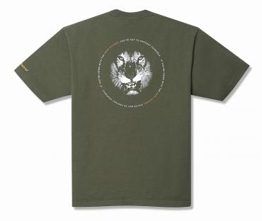 BC LION T / O.D.