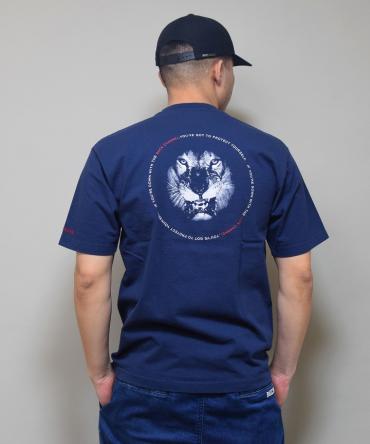 BC LION T / NAVY