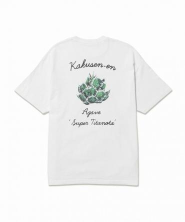 ×鶴仙園 "Agave" TEE *ホワイト*