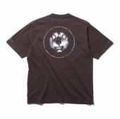 BC LION T / BROWN