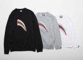 BxH SHARK KIDS CREW NECK SW *グレー*