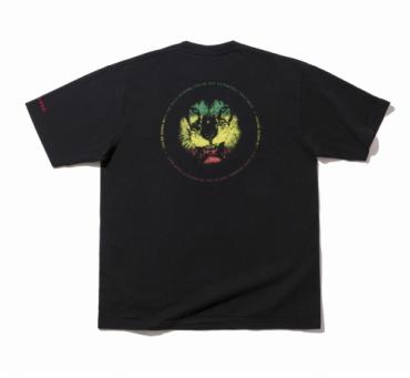 RASTA BC LION T